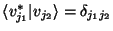 $\langle v_{j_1}^*\vert v_{j_2} \rangle =\delta_{j_1j_2}$