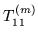 $T_{11}^{(m)}$