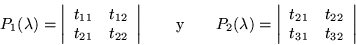 \begin{displaymath}
P_1(\lambda)=\left\vert\begin{array}{cc} t_{11} & t_{12} \\...
...{cc} t_{21} & t_{22} \\ t_{31} & t_{32} \end{array}\right\vert
\end{displaymath}