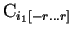 $ \mathrm{C}_{i_1[-r \ldots r]}$