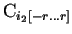 $ \mathrm{C}_{i_2[-r \ldots r]}$