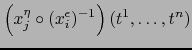 $\displaystyle \left( x_j^\eta \circ (x_i^\epsilon)^{-1} \right) (t^1,\ldots, t^n)$