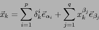 \begin{displaymath}\vec{x}_k = \sum_{i=1}^p \delta_k^i \vec{e}_{\alpha_i} + \sum_{j=1}^q x_k^{\beta_j} \vec{e}_{\beta_j}\end{displaymath}