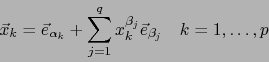\begin{displaymath}
\vec{x}_k = \vec{e}_{\alpha_k} + \sum_{j=1}^q x_k^{\beta_j} \vec{e}_{\beta_j} \quad k=1,\ldots, p
\end{displaymath}