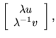 $\displaystyle \left[ \begin{array}{c} \lambda u \\  \lambda^{-1}v \end{array} \right],$