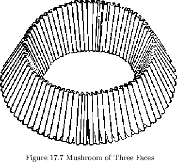 \begin{figure}\centering\begin{picture}(250,225)(0,0)
\put(0,0){\epsfxsize =250p...
...s/figh07.eps}}
\end{picture}\\
Figure 17.7 Mushroom of Three Faces
\end{figure}