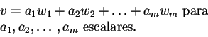 \begin{displaymath}\begin{array}{l} v=a_1w_1+a_2w_2+\ldots+a_mw_m \mbox{ para }  a_1,a_2,\ldots,a_m \mbox{ escalares.} \end{array}\end{displaymath}